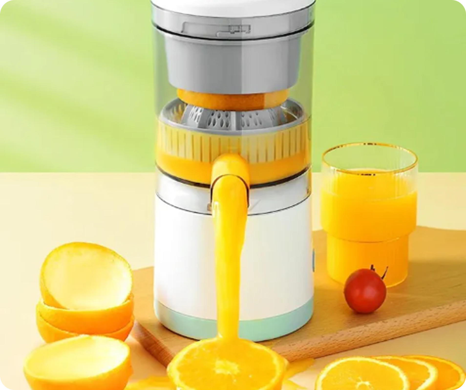 Premium Cold Press Juicer